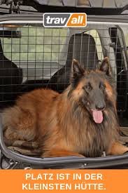 Produktneuheit Ein Hundegitter Fur Den Vw Up Seat Mii Und Skoda Citigo Travall Blog Website Kleine Autos Autos Kleinwagen