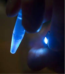 An exhibition at the smithsonian national museum of natural history gives a sense of the human genome project and provides glimpses of its . Utah Families Help Uncover Mysteries Of The Genetic Code In New Natural History Museum Exhibit The Salt Lake Tribune