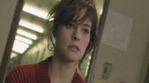 Fay Grim Movie Review