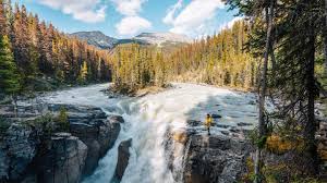 Image result for Alberta