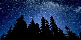 Dark Sky Preserves in Ontario: The Best Ontario Stargazing Locations