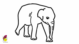 ️ supplies you might love (am. Baby Elephant Easy Drawing How To Draw An Elephant Baby Elephant Youtube