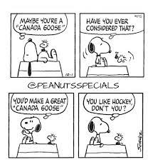First Appearance October 1 1980 Snoopy Woodstock Maybe Canadagoose Considered Make Great Canada Goose Lik Snoopy Love Snoopy And Woodstock Woodstock