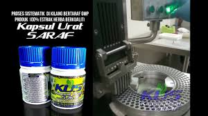 Kapsul Urat Saraf Bahaya Kapsul Urat Saraf