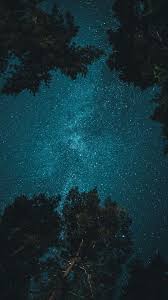We handpicked 200 of the best iphone wallpapers, free to download! 23 Night Sky Iphone Wallpapers Wallpaperboat