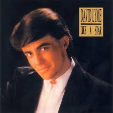 David Lyme Discography: Vinyl, CDs, & More