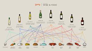 Wine Pairing Basics A Wine Cheat Sheet Infographic
