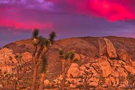 Stay for about 1 hour and leave at 12:58 pm. 15 Incredible Weekend Trips From Las Vegas Local Adventurer