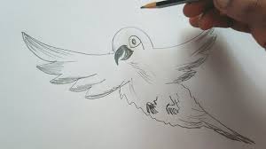 Sketch Birds Flying In The Sky Drawing Parrot Drawing By Pencil How To Draw A Flying Parrot Birdflying Parrot Drawing By Pencil Learn How To Draw Flying Bird Drawing Parrot Drawing Bird Drawings