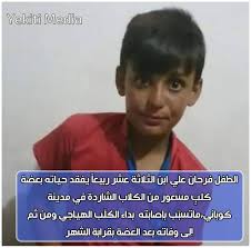 تفاصيل فضيحة فرحان العلي، لقد أعلنت وزارة الداخلية الكويتية عن صدور قرار يقضي بإبعاد الممثل الباكستاني فرحان العلي والمقيم في دولة الكويت خلال ثمانية وأربعين ساعة وذلك بعد مرور سنة على قضيته الخادشة للحياء العام. Facebook