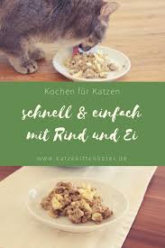 Kochen Fur Katzen Schnell Einfach Katzenfutter Selber Machen Katzen Futter Rezepte Katzen Ernahrung