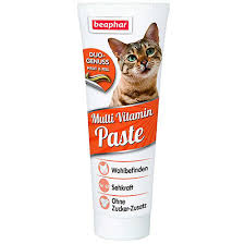 Beaphar Duo Active Kedi Multivitamin Paste Macunu 100 Gr Multivitamin Deri Ve Tuy Sagligi Beaphar