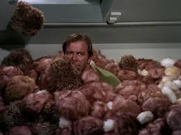 Search and share clips with friends in any app. Liz Tells Frank What Happened In Star Trek The Trouble With Tribbles Liz Tells Frank What Happened In