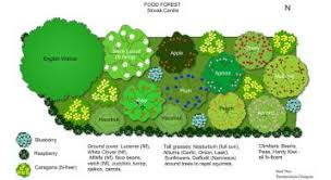 This Is An Example Of A Food Forest Design From The Slovak Centre Food Forest Food Forest Design Permaculture Gardening Food Forest Garden