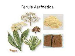Which Grill Should You Buy Charcoal Or Gas Skyferia Life Remedies For Nausea Excessive Gas Digestive Herbs