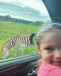 Geoff Armstrong (@geoffarmstrong52) • Instagram photos and videos