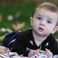 Amazon.com : Canon EF 135mm f/2L USM Lens for Canon SLR Cameras