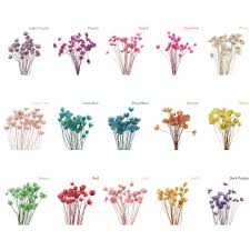 Maybe you would like to learn more about one of these? Hot 30pcs Decorative Dried Flowers Mini Daisy Small Star Flowers Bouquet Natural Plants Preserve Floral For Wedding Home Decor Artificial Dried Flowers Aliexpress