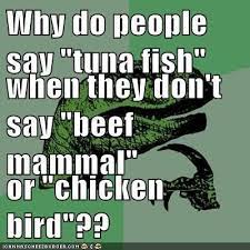 Pin On Funny Food Fest