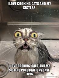 413 members • 2 online. I Love Cooking Cats And My Sisters I Love Cooking Cats And My Sisters Punctuations Save Lives Cat Bath Make A Meme