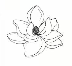 180cb9d957a954c2a5a80750c9db0f5f Jpg 604 553 Flower Line Drawings Flower Drawing Flower Doodles
