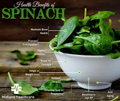 Best Nutritionists In Lucknow Best Dietitians In Lucknow In 2020 Vegetables Health Benefits Spinach Health Benefits Nutrition And Dietetics