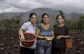 Naar fotoshow van nicaragua vrouwen. Fundacion Entre Mujeres Fem Nicaragua