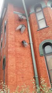 Bisbee Mining Historical Museum Flies On The Wall At The Mining And Historical Museum By Poe Dismuke Fly On The Wall Land Of Enchantment Bisbee Arizona