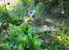 If your average frost date hits in mid to end of september, you're doing most of your planting in july. When To Plant A Fall Garden Oak Hill Homestead