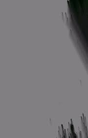 Image result for Tannodia swynnertonii