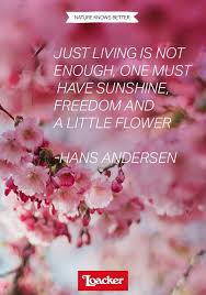 Just Living Is Not Enough One Must Have Sunshine Freedom And A Little Flower Nature Knows Better Gardening Quotes Inspirational Inspiring Quotes About Life Woman Quotes