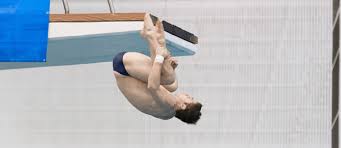 Get full access to frank's info. Indiana S Michael Hixon Takes 1 Meter Bronze At Fina World Championships