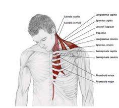 Easy Stretches Release Tension Neck Shoulders Shoulder Stretching Exercises Neck And Shoulder Stretches Shoulder Stretches