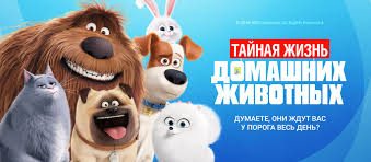 Tajnaya Zhizn Domashnih Zhivotnyh 2016 Smotret Onlajn Multfilm V Horoshem Hd 1080 720 Kachestve
