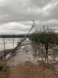 La plaga de la devastació