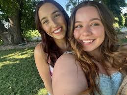 Any high protein low fat recipes for overweight dogs?