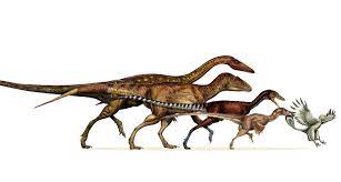 Note that, under this definition, birds are dinosaurs. Dinosaurs Shrank Continually Into Birds Science News