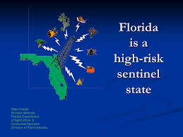 Cheap sensors, buy quality electronic components & supplies directly from china suppliers:tgs4161 co2 carbon dioxide gas detector sensor enjoy free shipping worldwide! Florida First Detector Educational Resources For County Agents Amanda Hodges Ph D University Of Florida Ifas Entomology Nematology Department Spdn Ppt Download