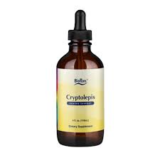 Image result for Cryptolepis products