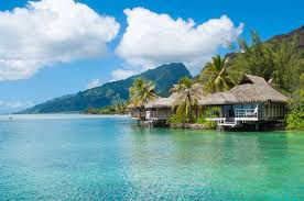Tahiti lies in the south pacific. Tahiti Definition And Meaning Collins English Dictionary