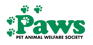 Elena georgiev 75 wynford heights crescent, unit 406 toronto on m3c 3h9 tel: Cat And Dog Adoption At Paws In Norwalk Ct