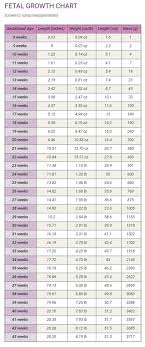 58 Complete Twin Weight Gain Chart