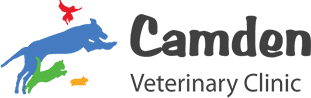 The rvc beaumont sainsbury animal hospital is the leading university teaching animal hospital in london. Veterinarian In St Marys Ga Camden Veterinary Clinic