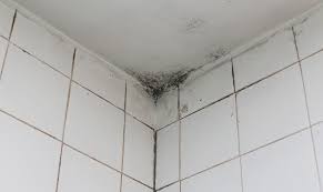 Maybe you would like to learn more about one of these? J Ai Des Moisissures Dans Mon Appartement Peintures Socol