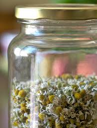 In hamdmade soap, its properties help to improve the. Store Dried Flowers In A Glass Jar Herbal Medicine Cabinet Herbalism Herbal Medicine