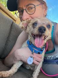 Little Irish boy can't stop his great moves when Elvis' songs are played at  a big do!