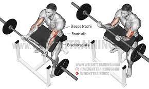 The dumbbell preacher curl is a great exercise for building your biceps because it lets you train each arm independently. Barbell Preacher Curl Exericse Instructions And Video Weight Training Guide Barbell Preacher Curl Preacher Curls Biceps Brachii