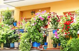 Le piante pendenti da interno sono molto decorative. Fioriere O Vasi Al Di Fuori Del Balcone