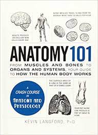 Taking a wider grip on the bar helps target the deltoid, whereas a narrower grip emphasizes the trapezius. Anatomy 101 From Muscles And Bones To Organs And Systems Your Guide To How The Human Body Works Adams 101 Langford Kevin 0045079584266 Amazon Com Books