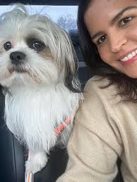 Check it out, 3 Corgis and a Shih Tzu bum, this is getting good! 😳😎